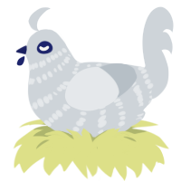 冬, a mist chicken with a bar pattern