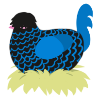 A sable and sapphire chicken with a lace pattern