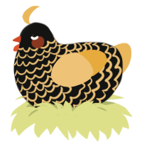 A black and honey chicken with a lace pattern