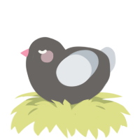 A grey and mist chicken
