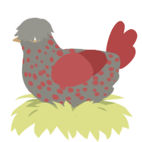 A ash and red chicken with a speckle pattern