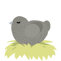 A ash chicken with a lace pattern