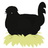 A black chicken with a lace pattern