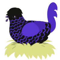A black and indigo chicken with a lace pattern