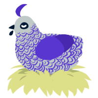 Elegance, a silver and indigo chicken with a double-lace pattern