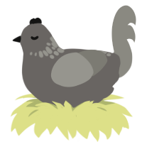 A grey and ash chicken with a neck-speckle pattern