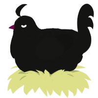 A black chicken with a half-lace pattern