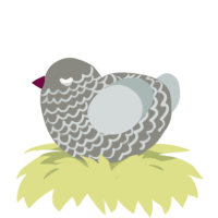 A ash and silver chicken with a lace pattern
