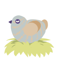 A silver and beige chicken with a bar pattern