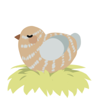 A beige and silver chicken with a bar pattern