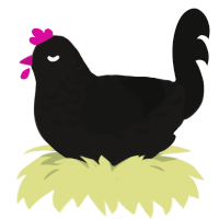 Brisket, a sable and black chicken with a half-lace pattern