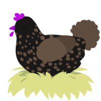 A sable and bark chicken with a speckle pattern