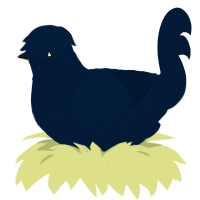 A tumblr chicken with a lace pattern