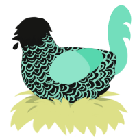A black and mint chicken with a double-lace pattern