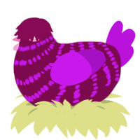 A wine and amethyst chicken with a bar pattern