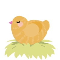 A honey chicken with a bar pattern
