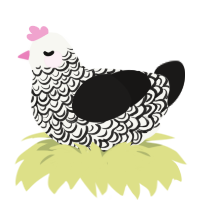 A white and sable chicken with a double-lace pattern
