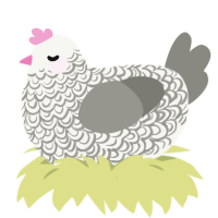 A white and ash chicken with a double-lace pattern