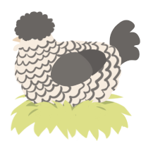 A cream and grey chicken with a lace pattern