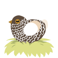 A bark and cream chicken with a lace pattern