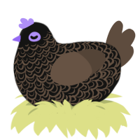 A black and bark chicken with a double-lace pattern