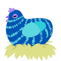 Juice, a ultramarine and aqua chicken with a bar pattern