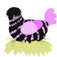 A black and lavender chicken with a bar pattern