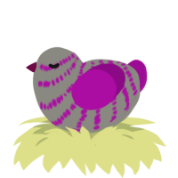 A ash and plum chicken with a bar pattern