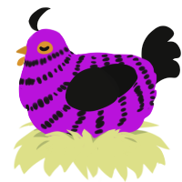 A amethyst and black chicken with a bar pattern