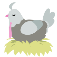 A ash and silver chicken with a head pattern