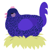 A navy and indigo chicken with a double-lace pattern