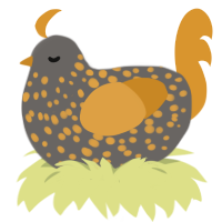 A grey and orange chicken with a speckle pattern