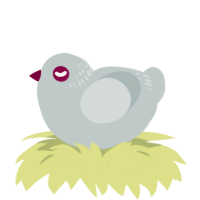 A silver chicken with a neck-band pattern