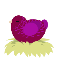A maroon and plum chicken with a half-lace pattern