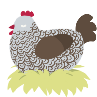 A mist and bark chicken with a double-lace pattern