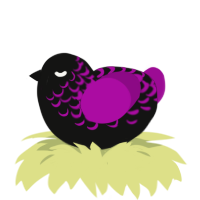 A black and plum chicken with a half-lace pattern