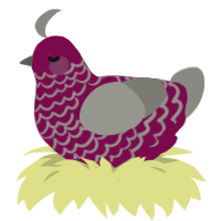 A wine and ash chicken with a lace pattern
