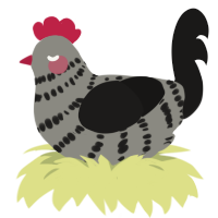 A ash and sable chicken with a bar pattern