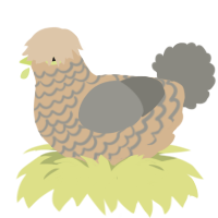 A beige and ash chicken with a lace pattern