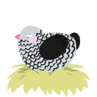 A mist and sable chicken with a lace pattern