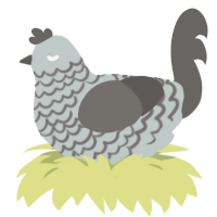 A silver and grey chicken with a lace pattern
