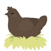 A bark chicken with a lace pattern