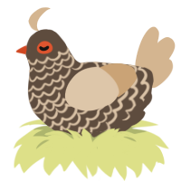 A bark and beige chicken with a lace pattern