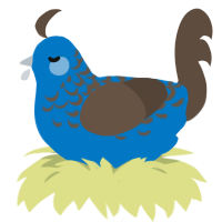 A sapphire and bark chicken with a half-lace pattern
