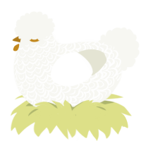 A white chicken with a double-lace pattern