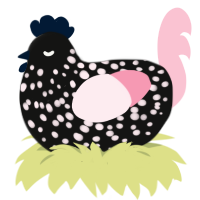 A black and rose chicken with a speckle pattern
