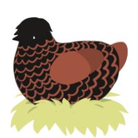A sable and russet chicken with a lace pattern