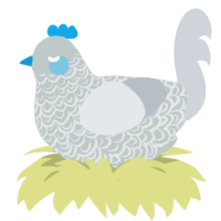 A silver and mist chicken with a double-lace pattern