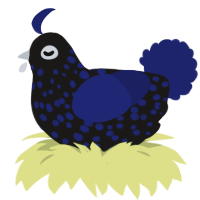 A sable and navy chicken with a speckle pattern