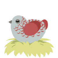 A silver and red chicken with a half-lace pattern